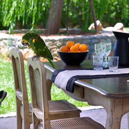 Sunvillage Malia Boutique Hotel And Suites Εξωτερικό φωτογραφία
