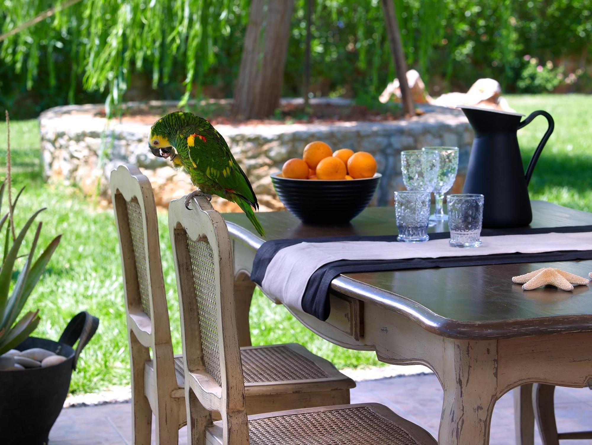 Sunvillage Malia Boutique Hotel And Suites Εξωτερικό φωτογραφία