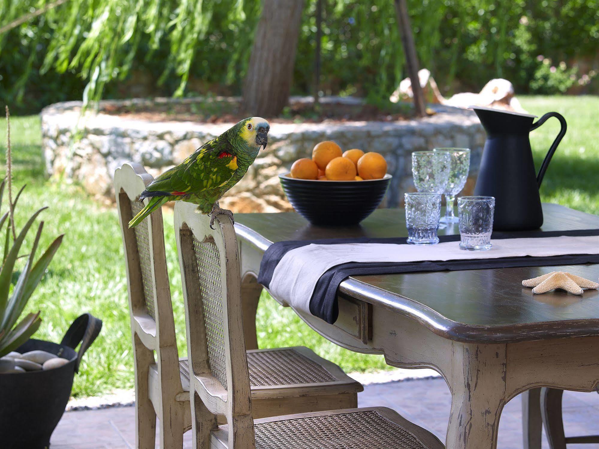 Sunvillage Malia Boutique Hotel And Suites Εξωτερικό φωτογραφία